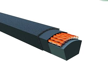 VB10 D2599