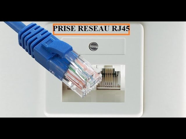 قاعدة نتورك زوجية rj45