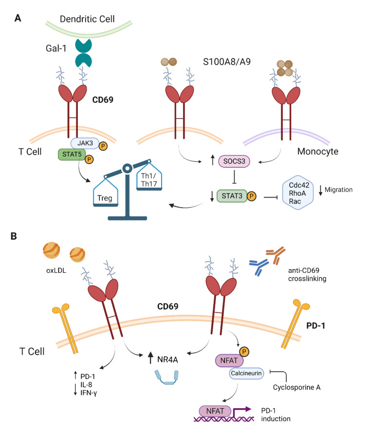TE1 CD4069UBF